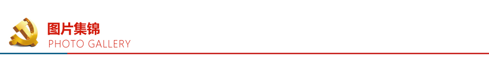 优德88(中国区)最新官方网站