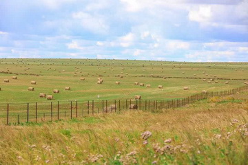 优德88(中国区)最新官方网站