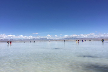 优德88(中国区)最新官方网站