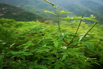 优德88(中国区)最新官方网站