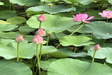 优德88(中国区)最新官方网站