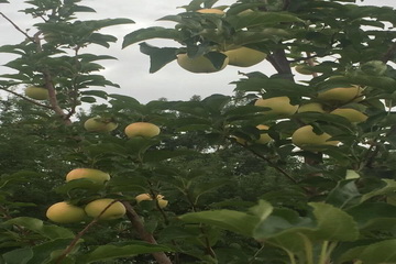 优德88(中国区)最新官方网站