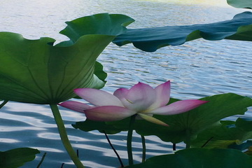 优德88(中国区)最新官方网站