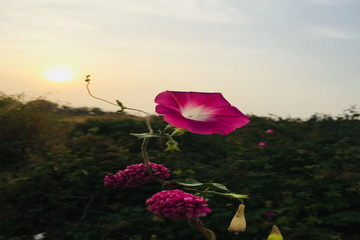 优德88(中国区)最新官方网站