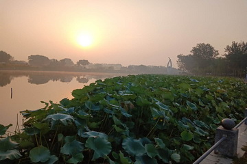 优德88(中国区)最新官方网站