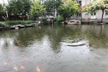 优德88(中国区)最新官方网站