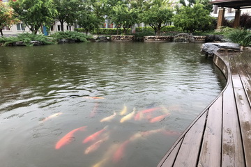 优德88(中国区)最新官方网站