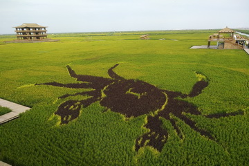 优德88(中国区)最新官方网站