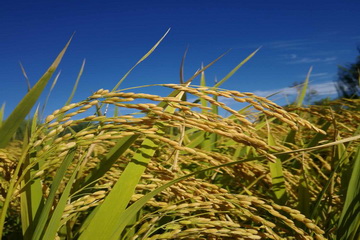 优德88(中国区)最新官方网站