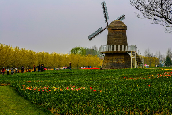 优德88(中国区)最新官方网站