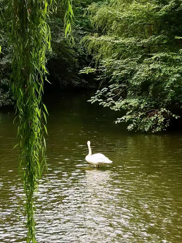 优德88(中国区)最新官方网站