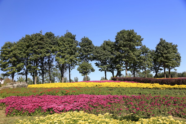 优德88(中国区)最新官方网站