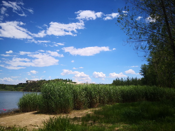 优德88(中国区)最新官方网站