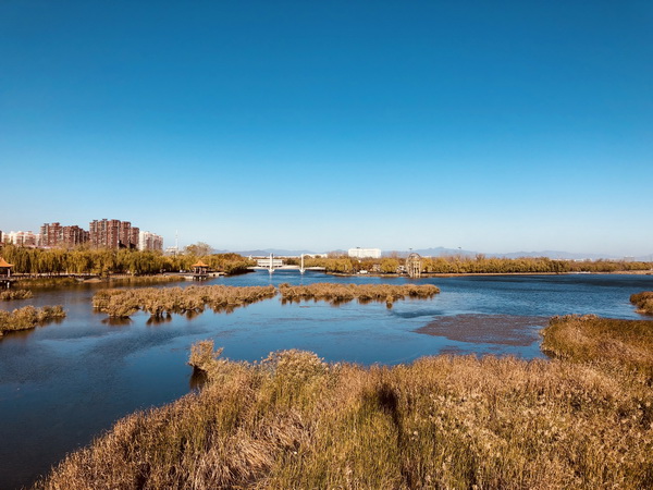 优德88(中国区)最新官方网站