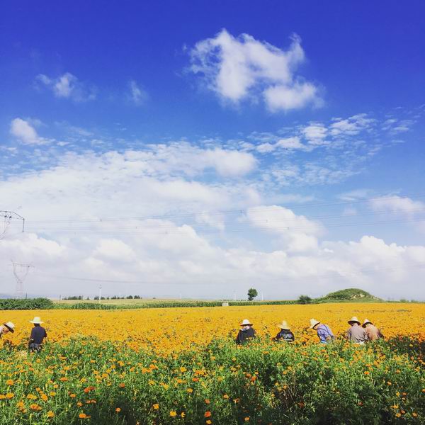 优德88(中国区)最新官方网站