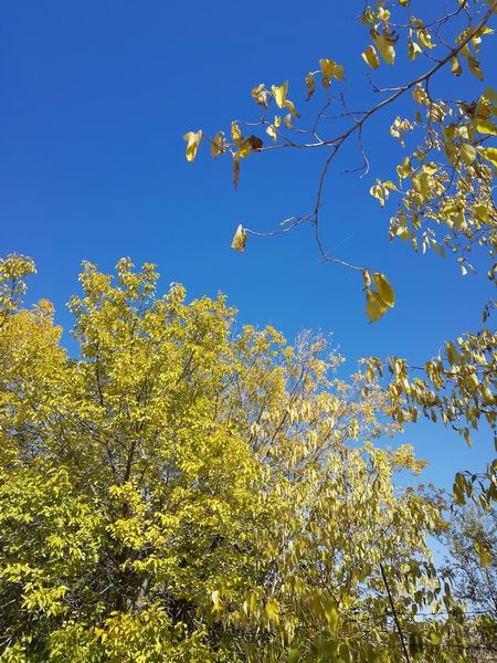 优德88(中国区)最新官方网站