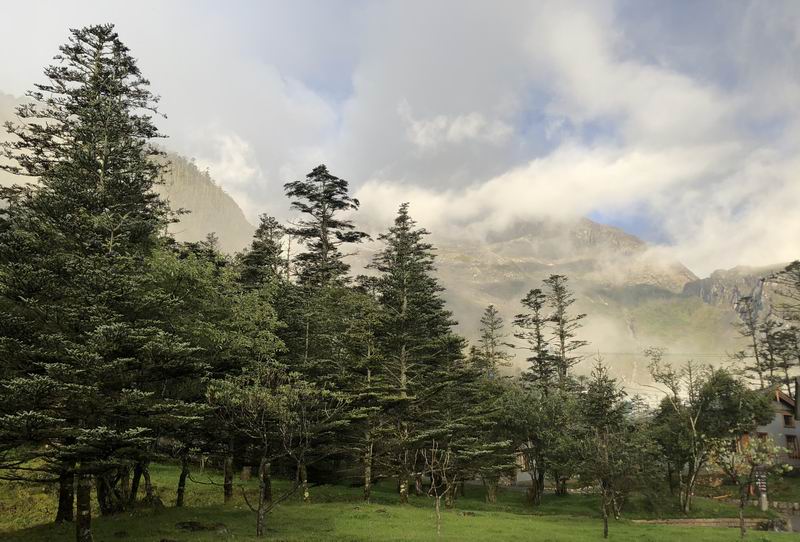 优德88(中国区)最新官方网站