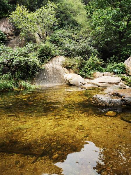 优德88(中国区)最新官方网站