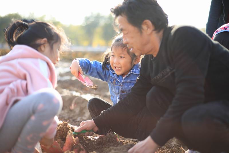 优德88(中国区)最新官方网站