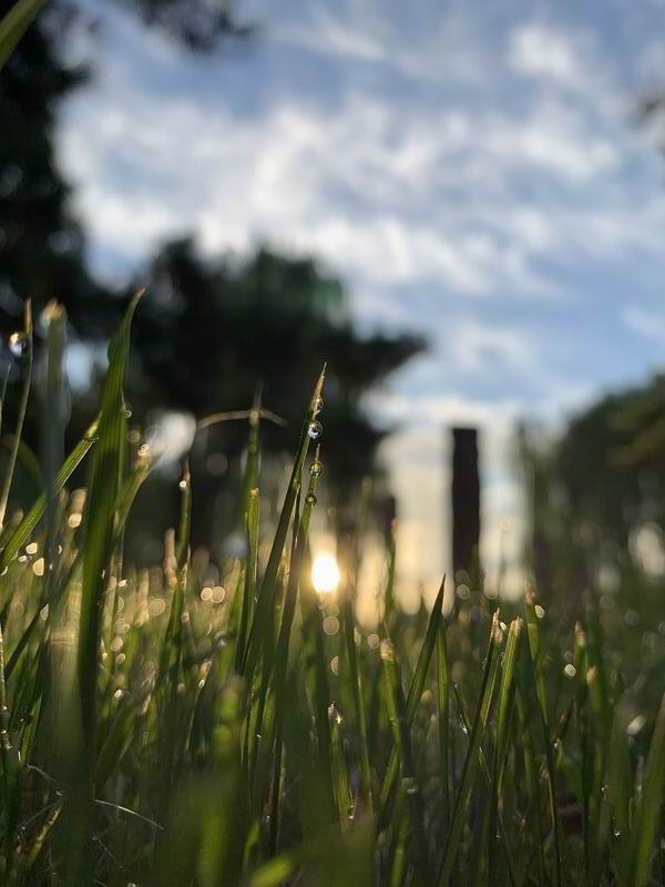 优德88(中国区)最新官方网站