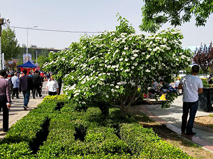 优德88(中国区)最新官方网站