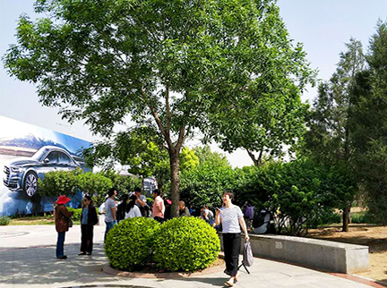 优德88(中国区)最新官方网站