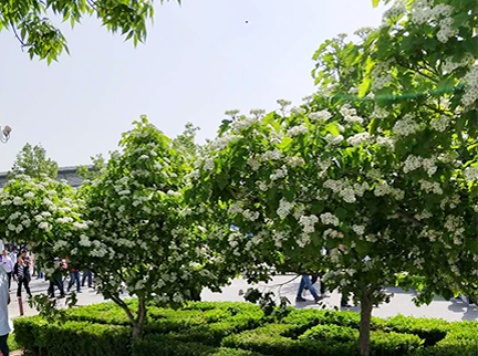 优德88(中国区)最新官方网站