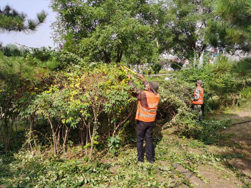 优德88(中国区)最新官方网站