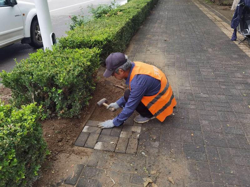 优德88(中国区)最新官方网站