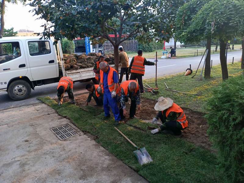 优德88(中国区)最新官方网站