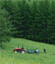 优德88(中国区)最新官方网站