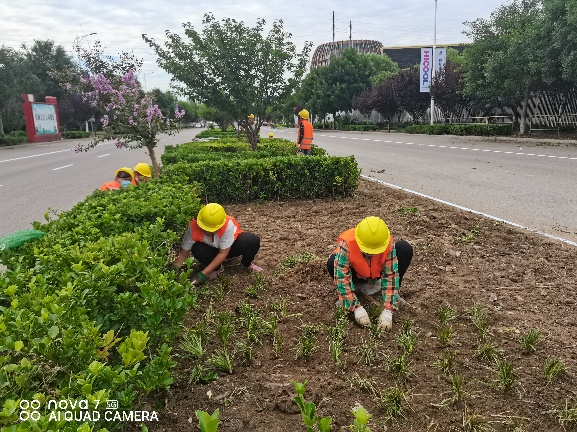 优德88(中国区)最新官方网站