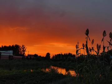 优德88(中国区)最新官方网站