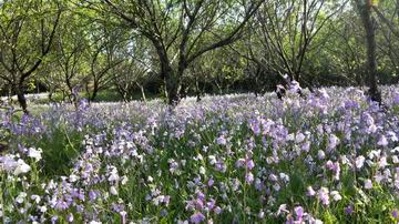 优德88(中国区)最新官方网站