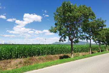 优德88(中国区)最新官方网站