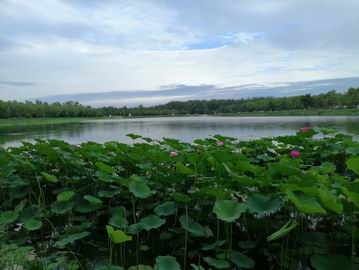 优德88(中国区)最新官方网站