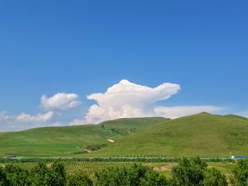 优德88(中国区)最新官方网站