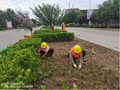 优德88(中国区)最新官方网站