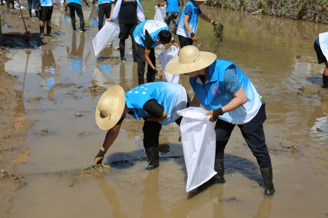 优德88(中国区)最新官方网站